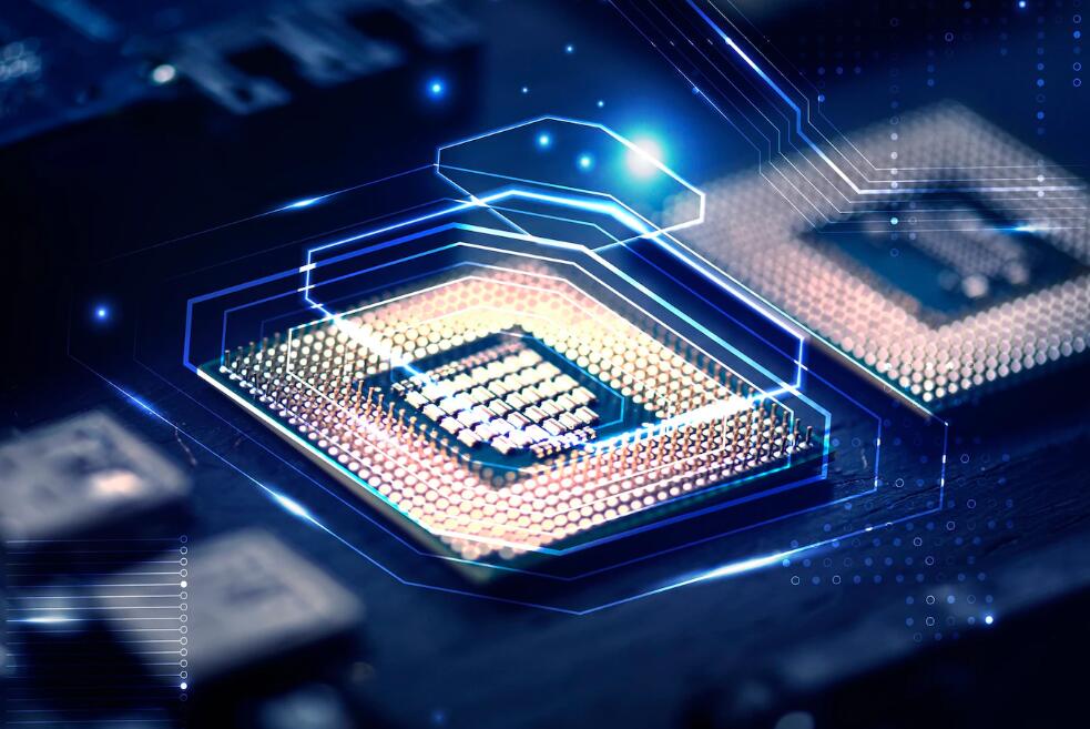 缅甸黄鳝最大多大 最大的黄鳝